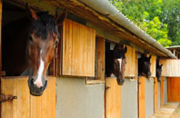 free Exley Head stable construction quotes